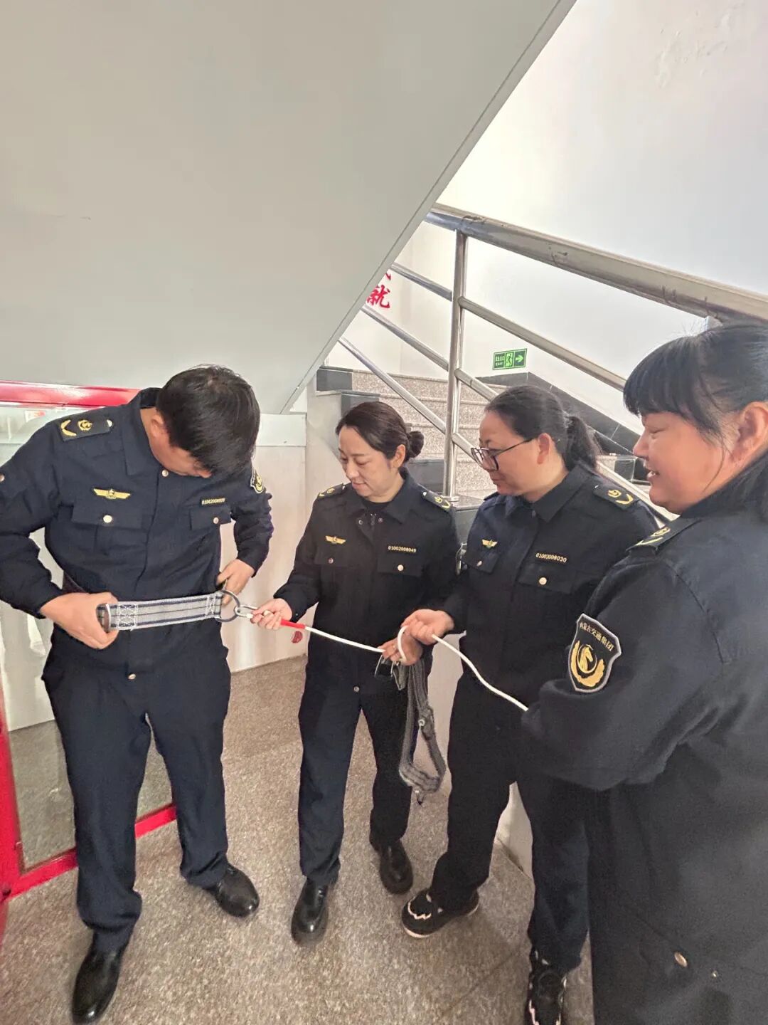 女人与公狍交酡女免费