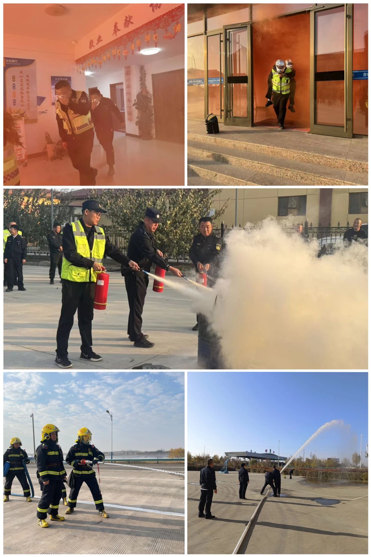 女人与公狍交酡女免费