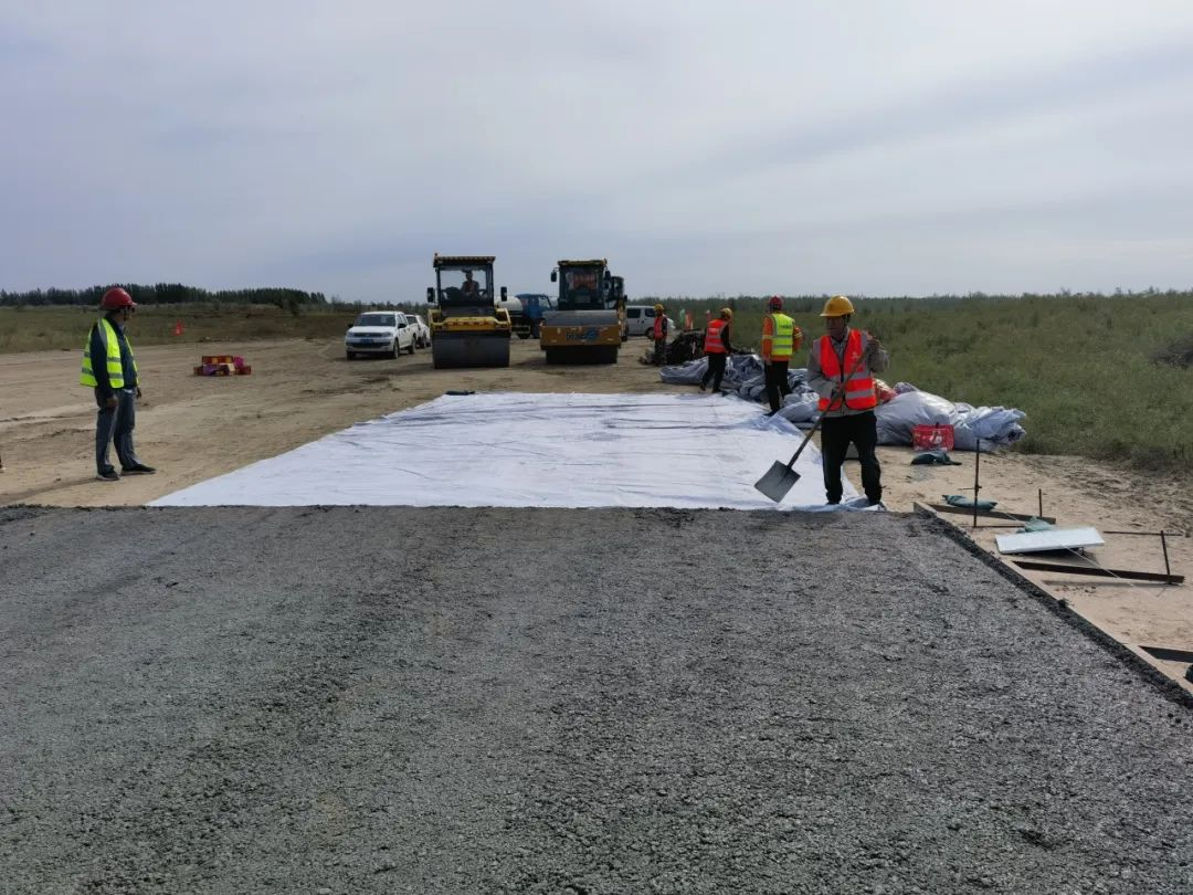 女人与公狍交酡女免费