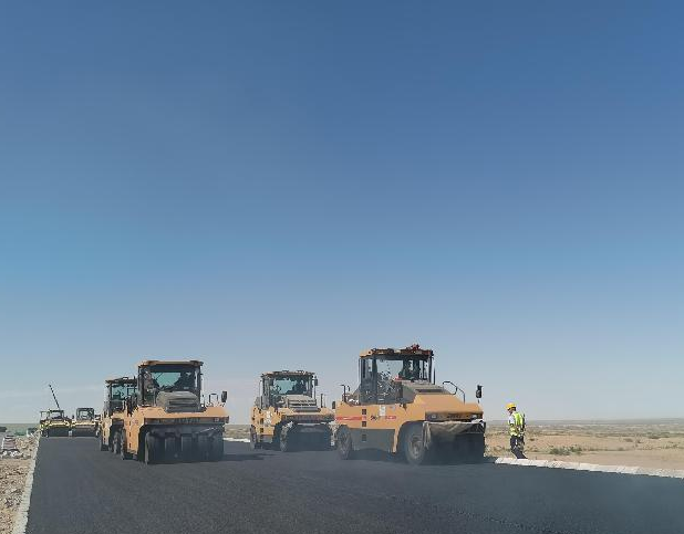 女人与公狍交酡女免费