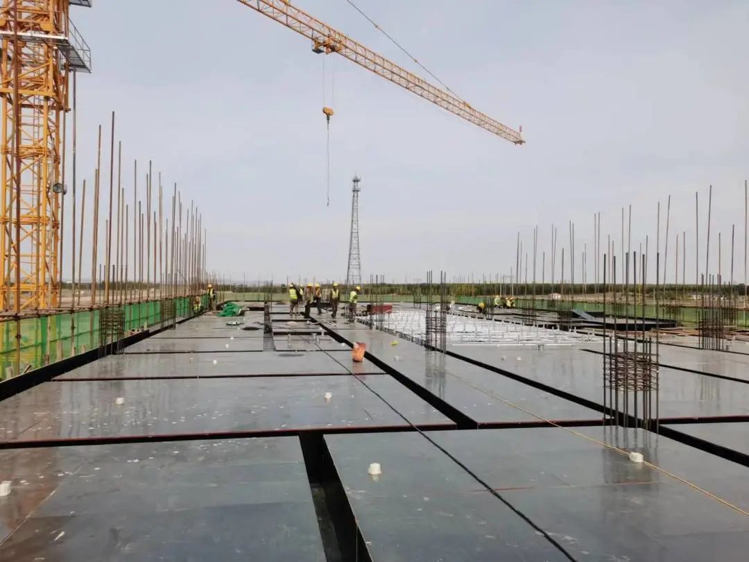 女人与公狍交酡女免费