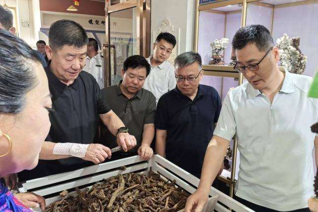 女人与公狍交酡女免费