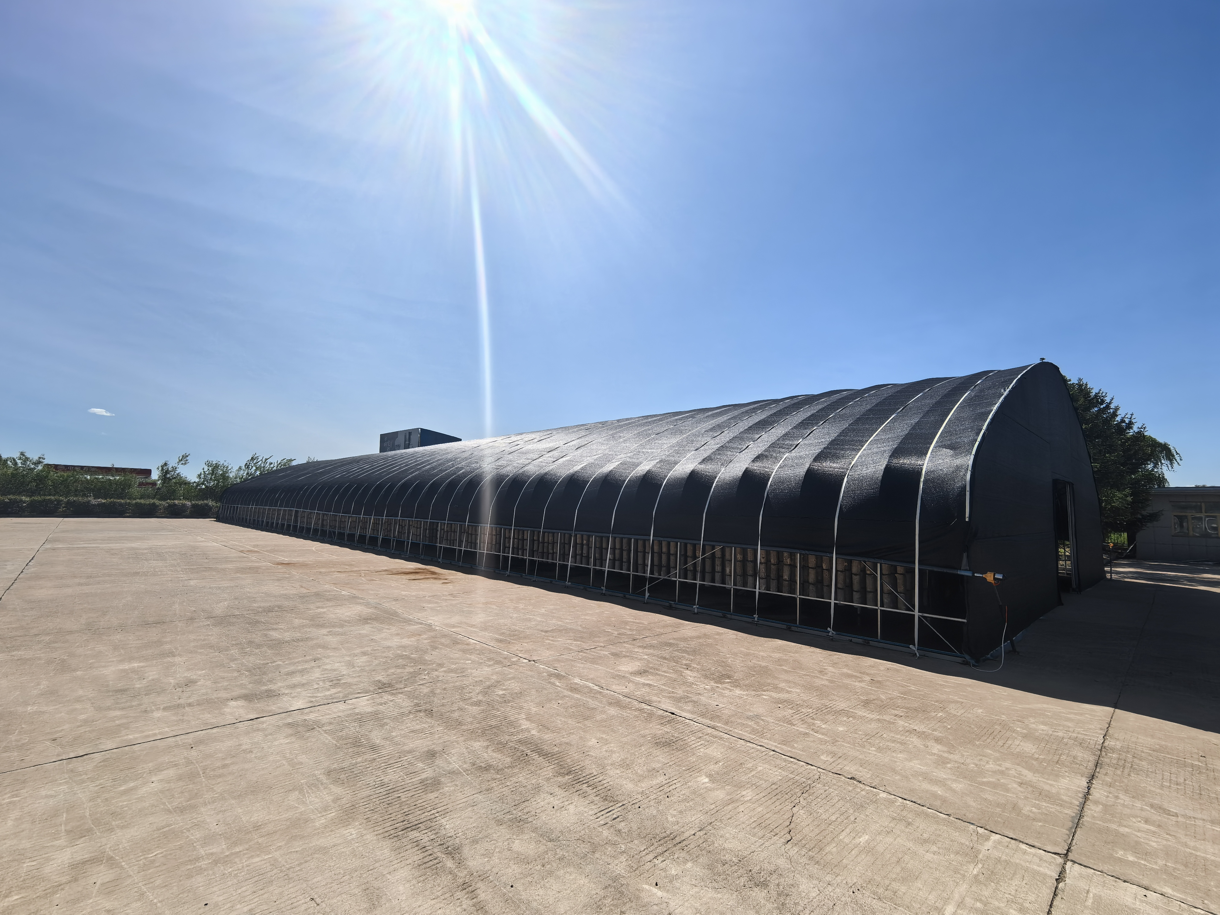 女人与公狍交酡女免费