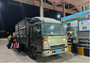 女人与公狍交酡女免费