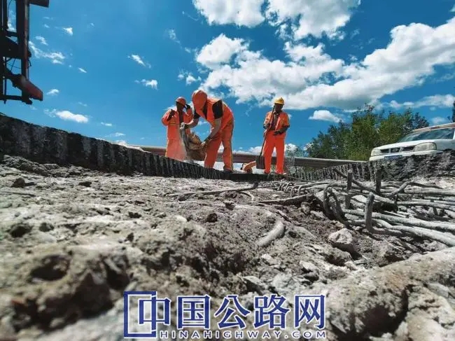 女人与公狍交酡女免费