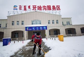 女人与公狍交酡女免费