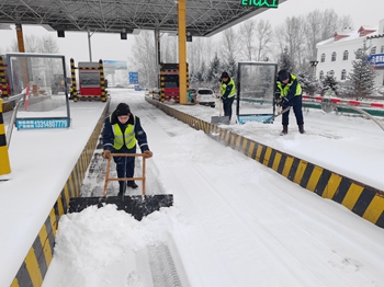 女人与公狍交酡女免费