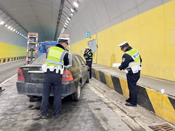 女人与公狍交酡女免费