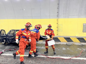 女人与公狍交酡女免费