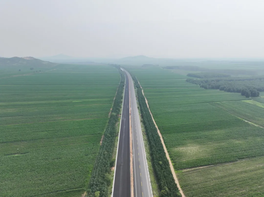 女人与公狍交酡女免费