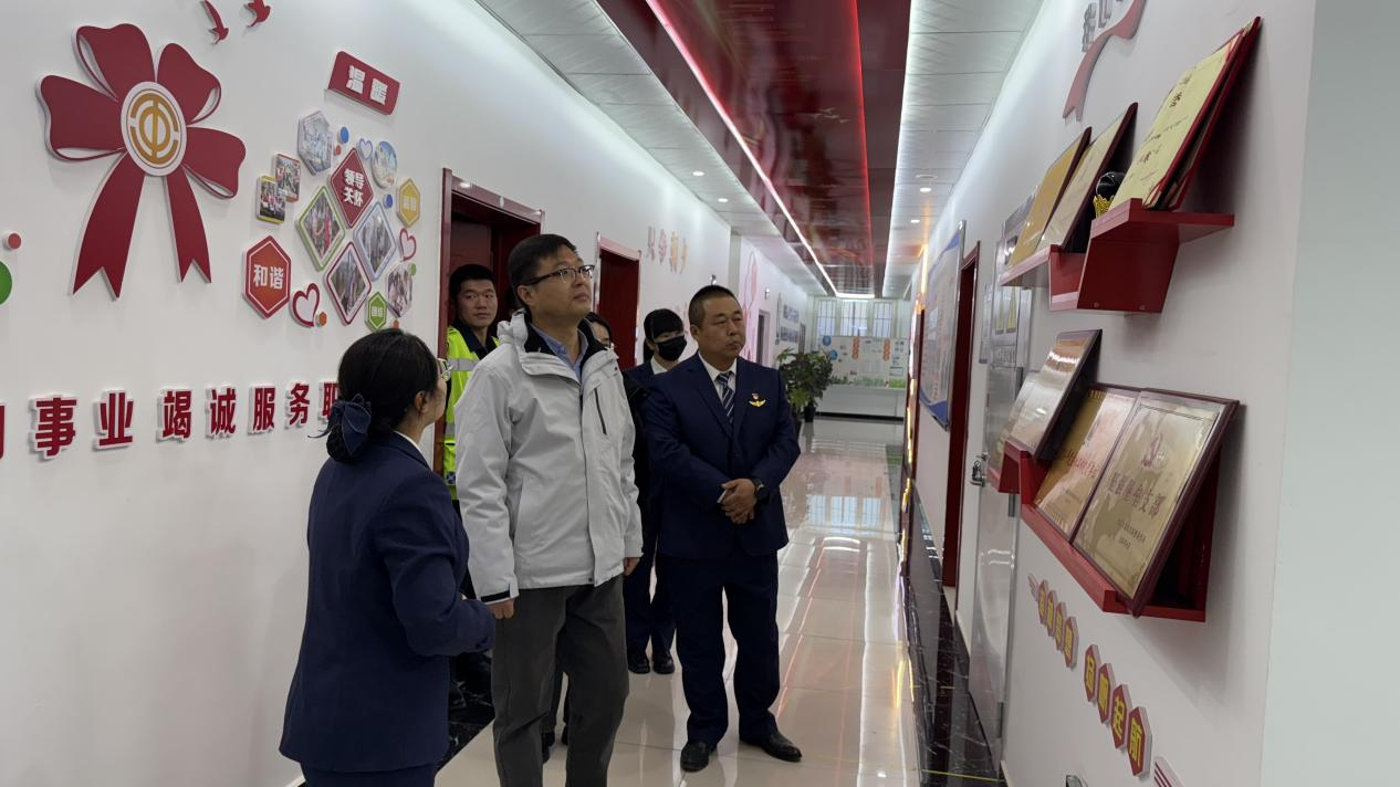 女人与公狍交酡女免费