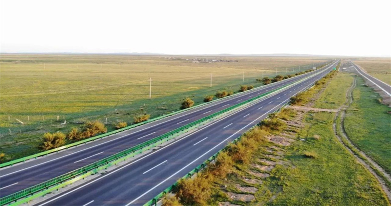 女人与公狍交酡女免费