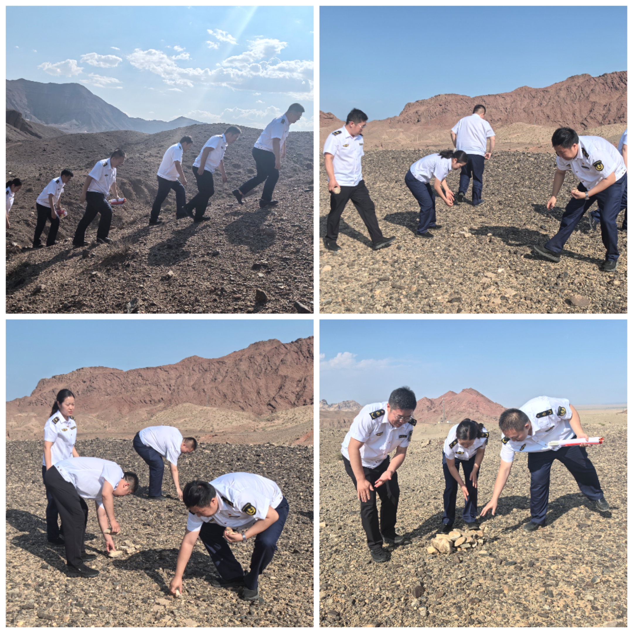 女人与公狍交酡女免费