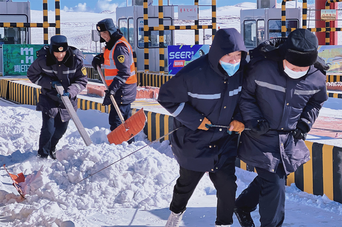 女人与公狍交酡女免费