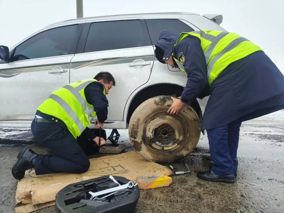 女人与公狍交酡女免费