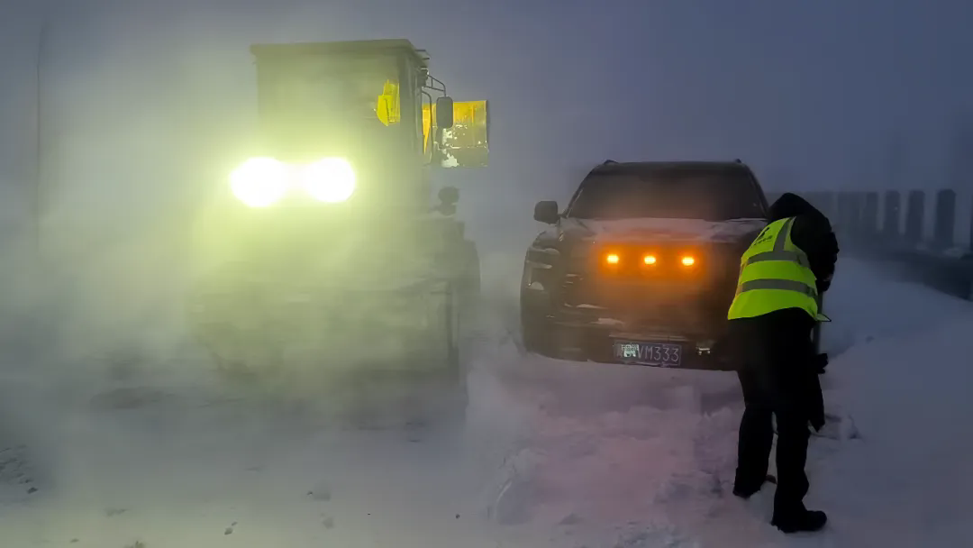 女人与公狍交酡女免费