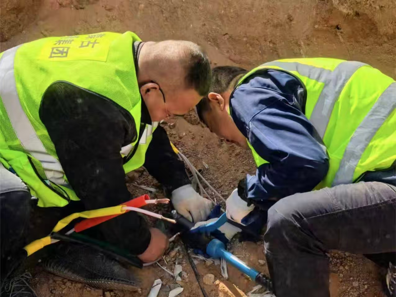 女人与公狍交酡女免费