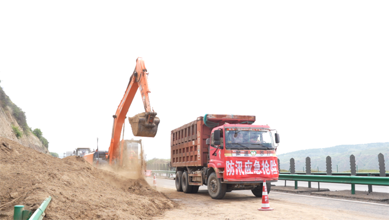 女人与公狍交酡女免费
