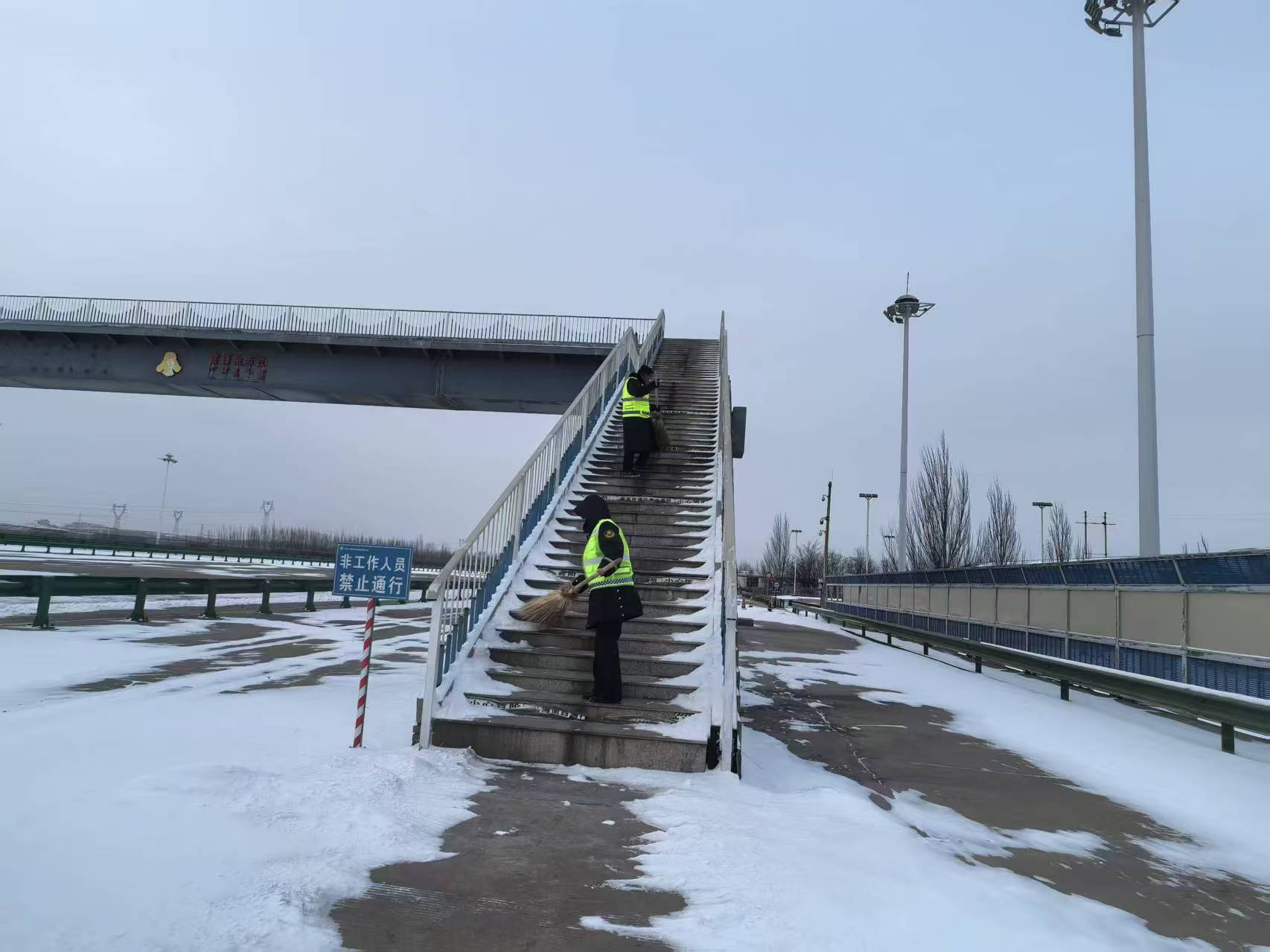 女人与公狍交酡女免费