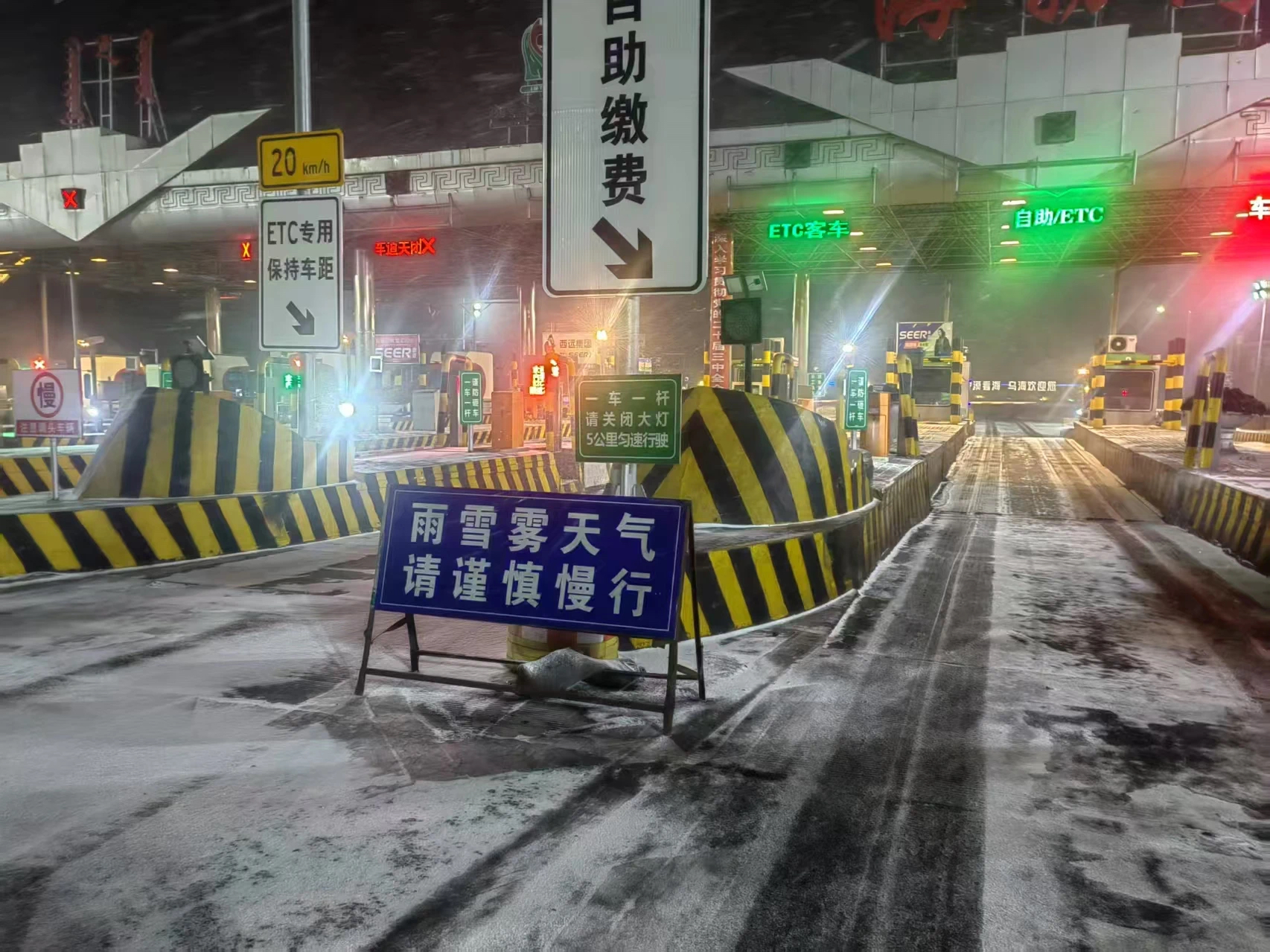 女人与公狍交酡女免费