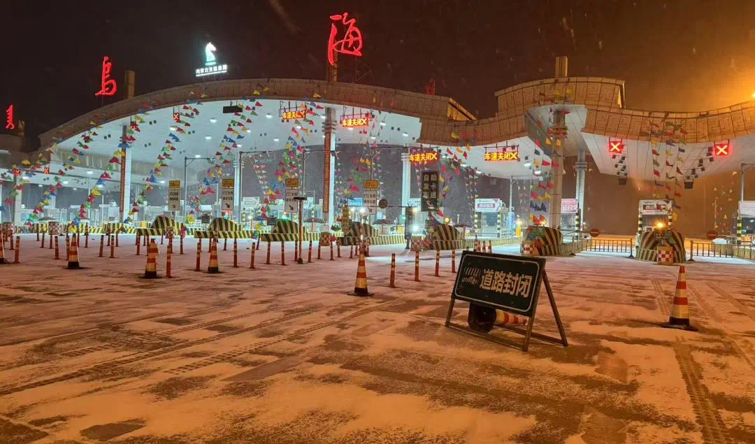 女人与公狍交酡女免费