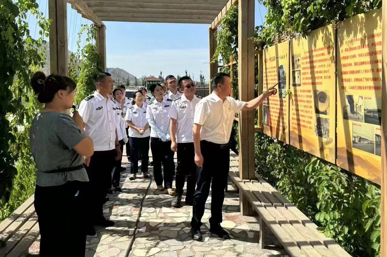 女人与公狍交酡女免费