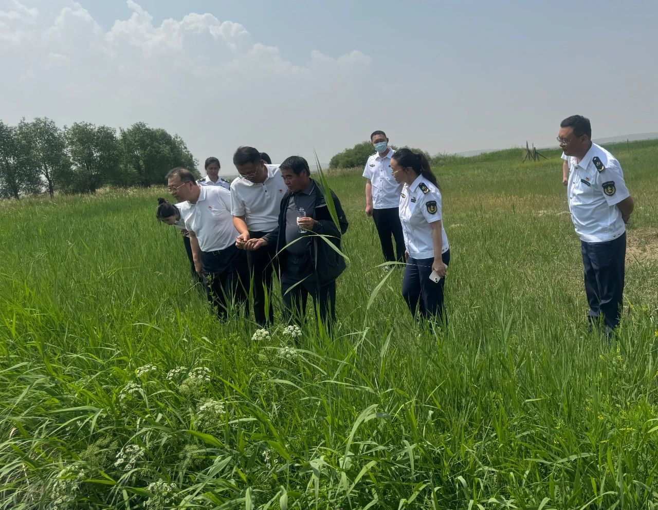 女人与公狍交酡女免费