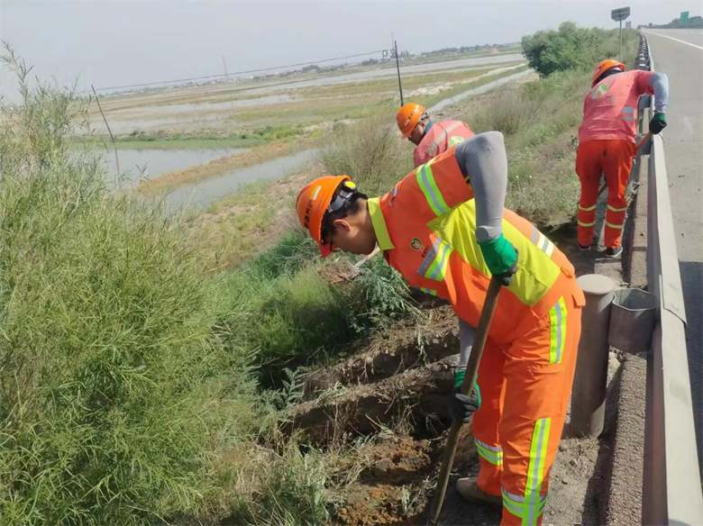 女人与公狍交酡女免费