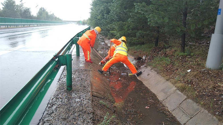 女人与公狍交酡女免费