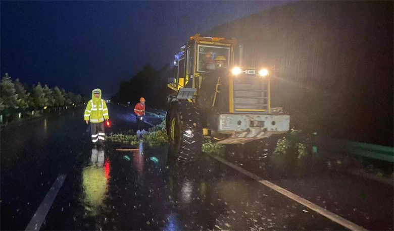 女人与公狍交酡女免费