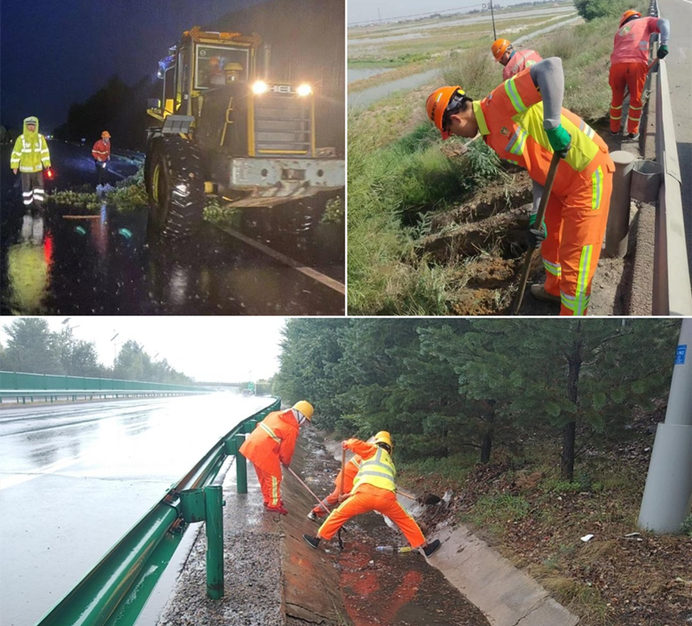 女人与公狍交酡女免费