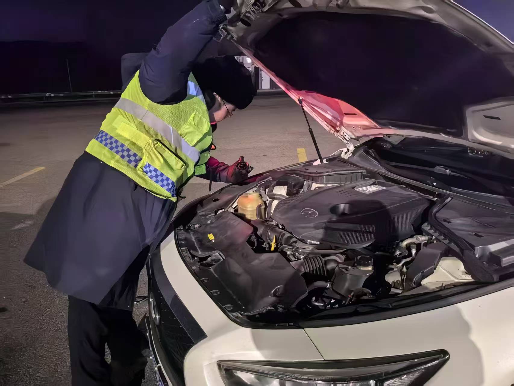 女人与公狍交酡女免费