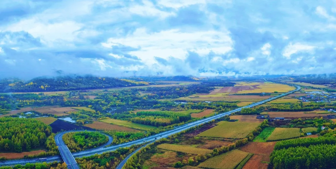 女人与公狍交酡女免费