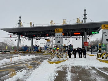 女人与公狍交酡女免费