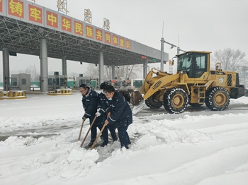女人与公狍交酡女免费