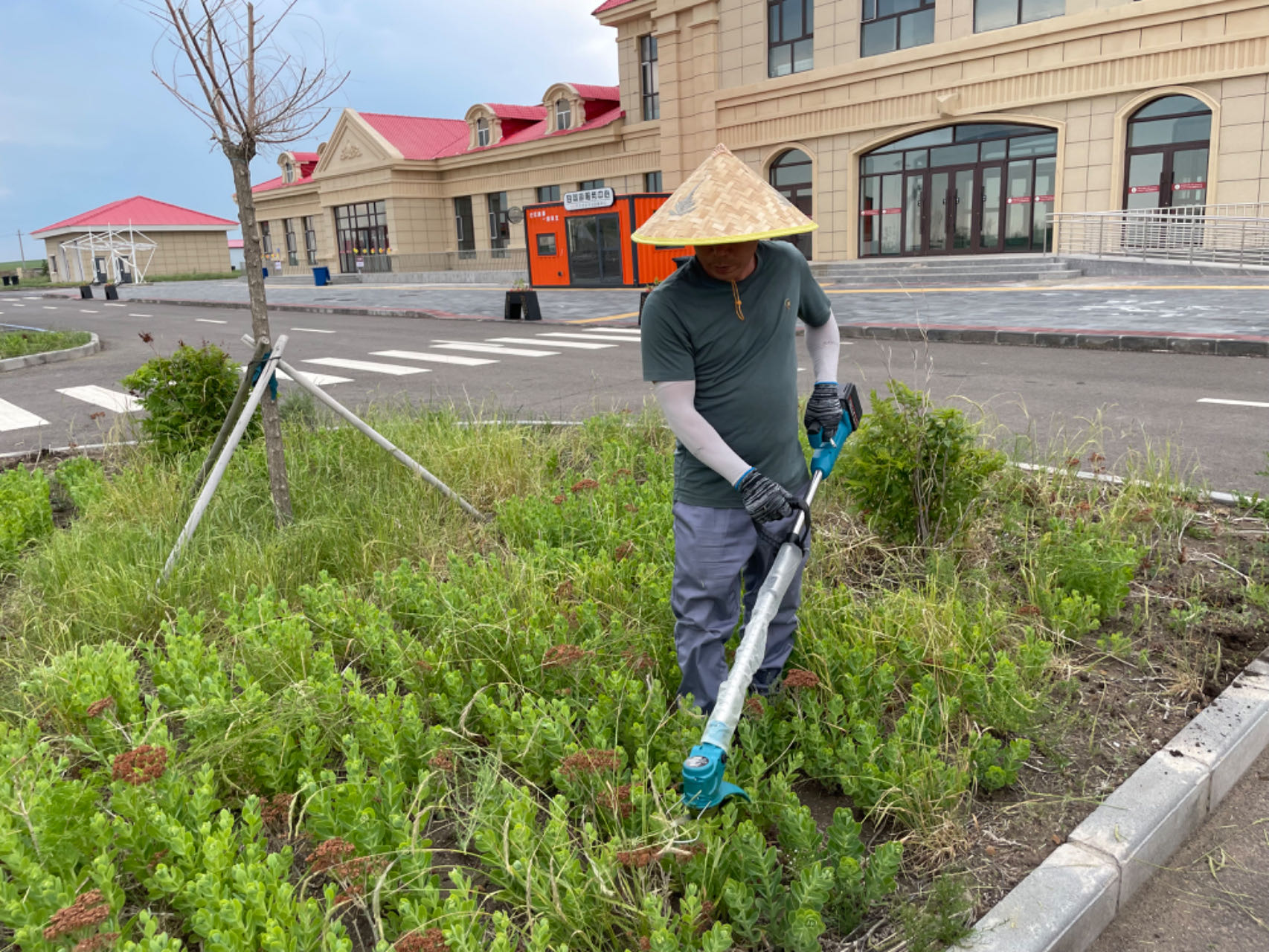 女人与公狍交酡女免费