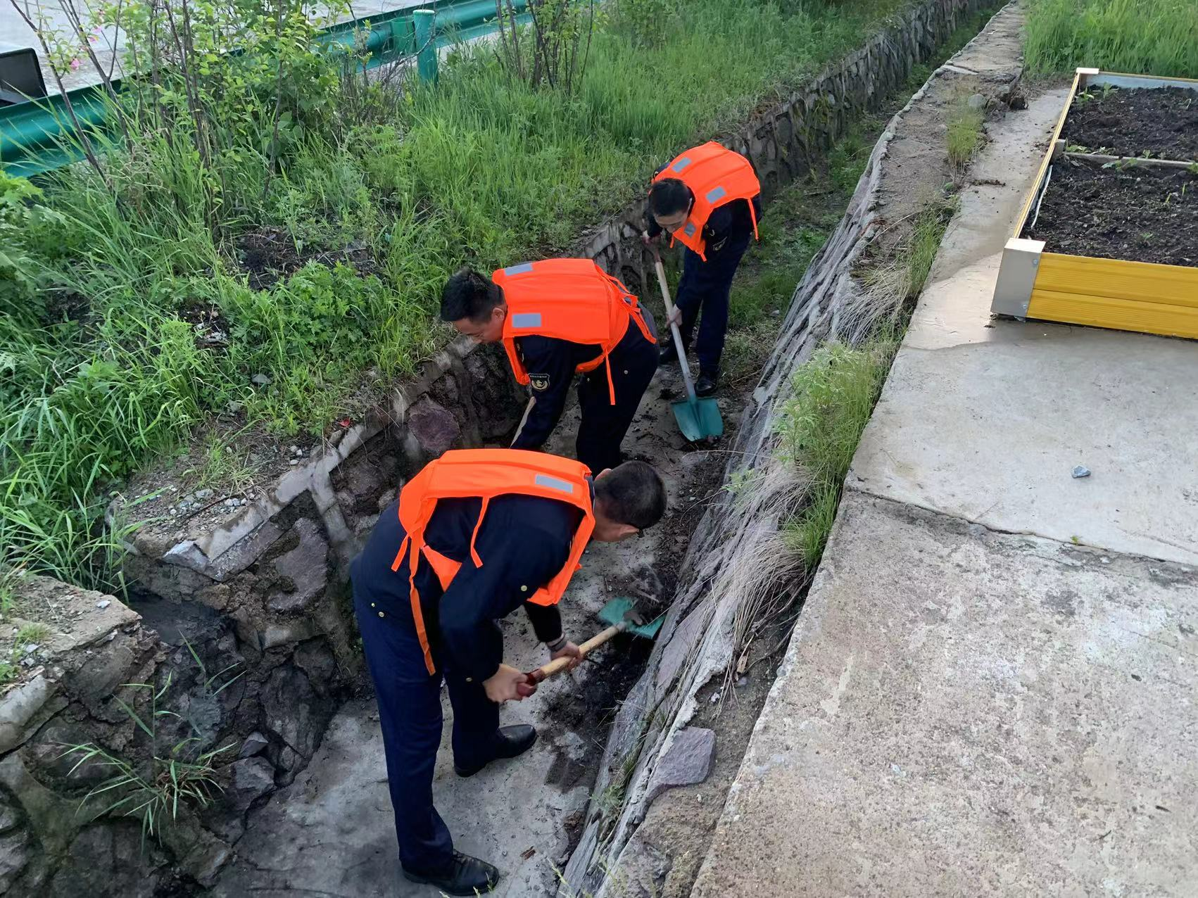 女人与公狍交酡女免费