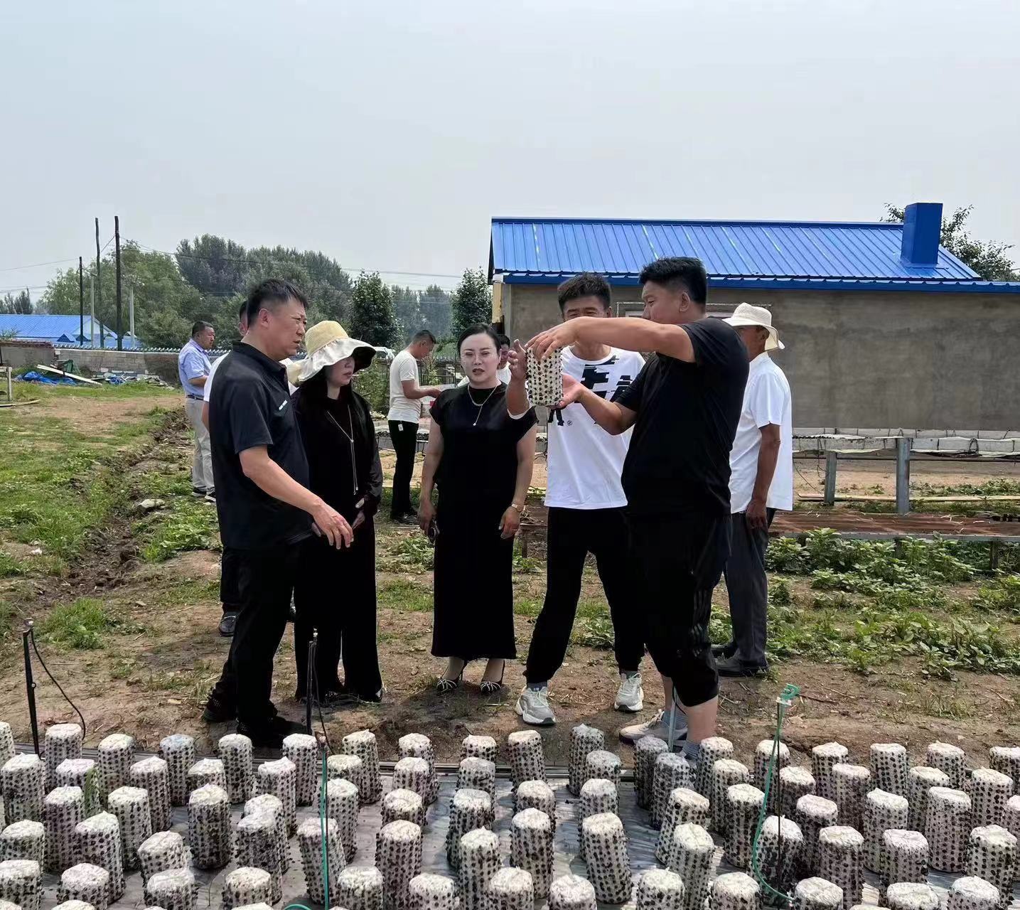 女人与公狍交酡女免费