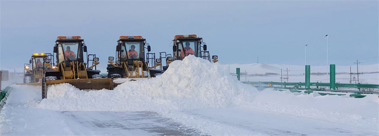女人与公狍交酡女免费