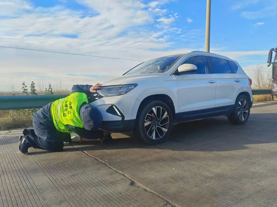 女人与公狍交酡女免费