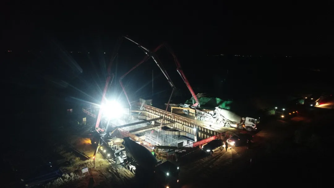 女人与公狍交酡女免费