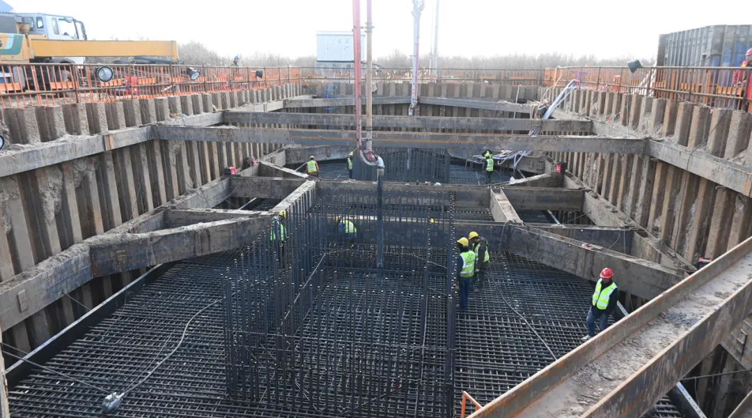 女人与公狍交酡女免费