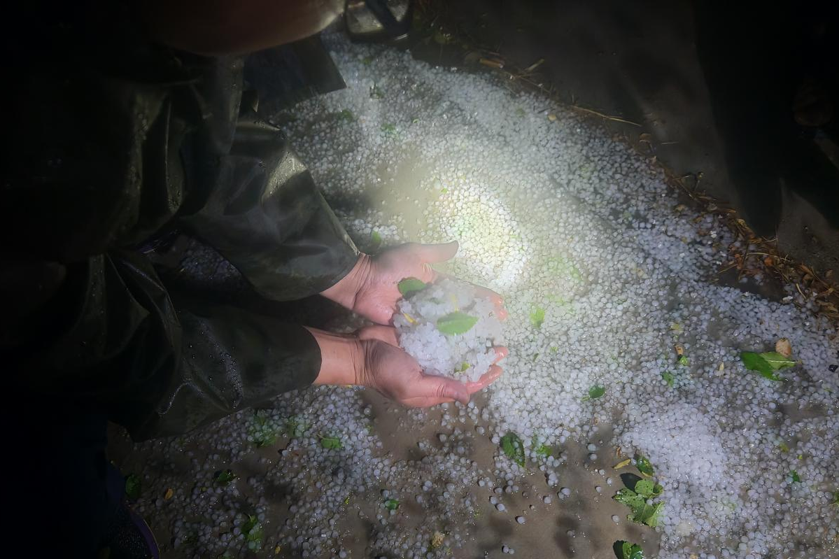 女人与公狍交酡女免费