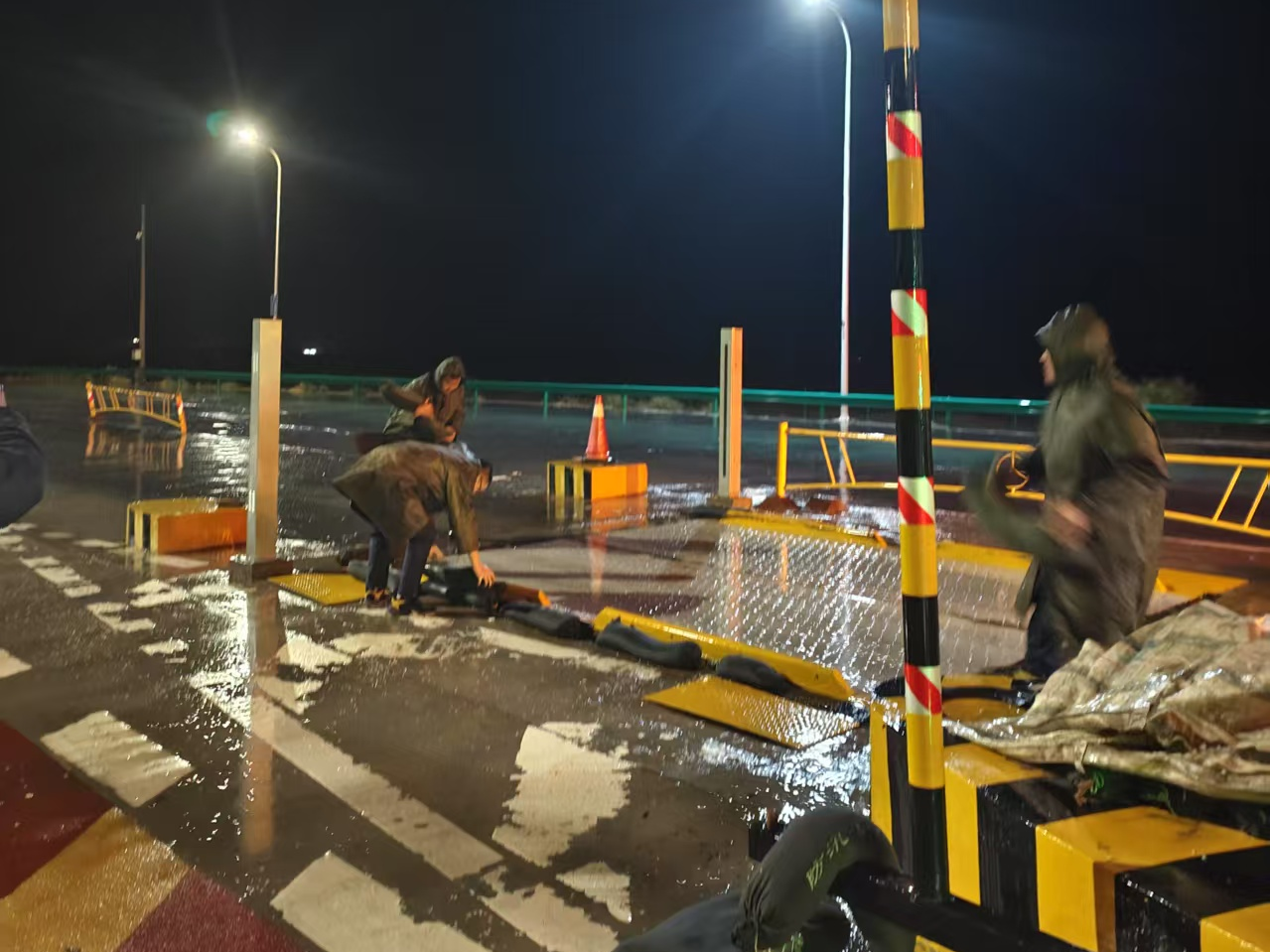 女人与公狍交酡女免费