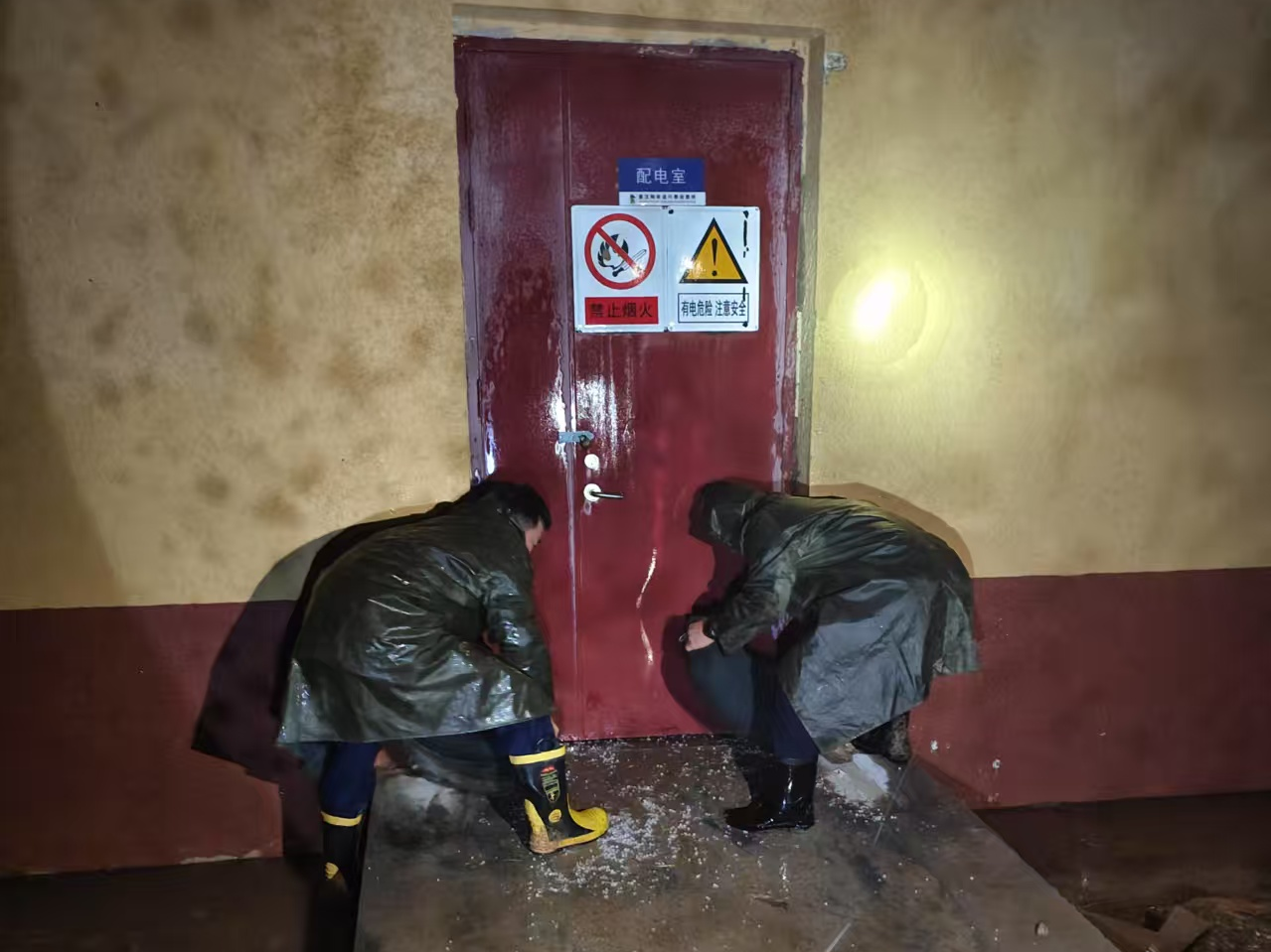 女人与公狍交酡女免费