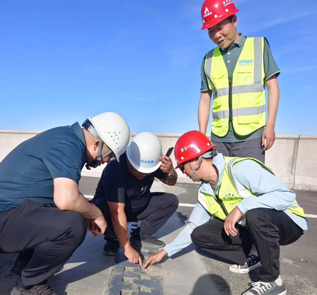 女人与公狍交酡女免费