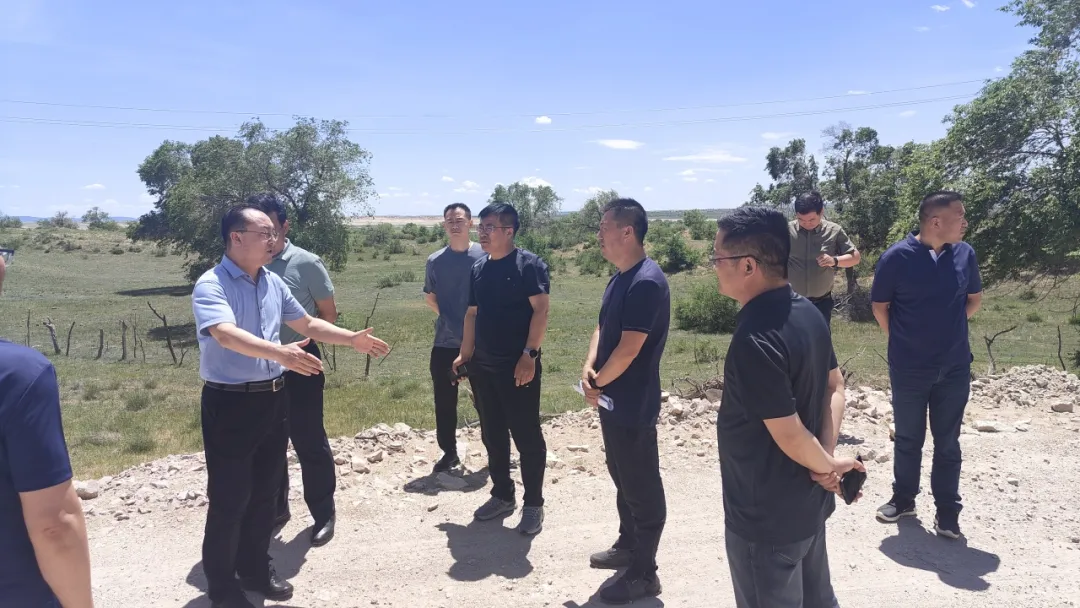 女人与公狍交酡女免费