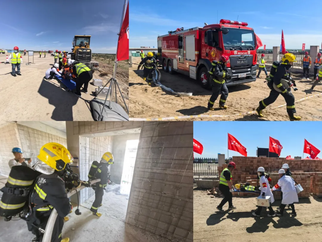 女人与公狍交酡女免费