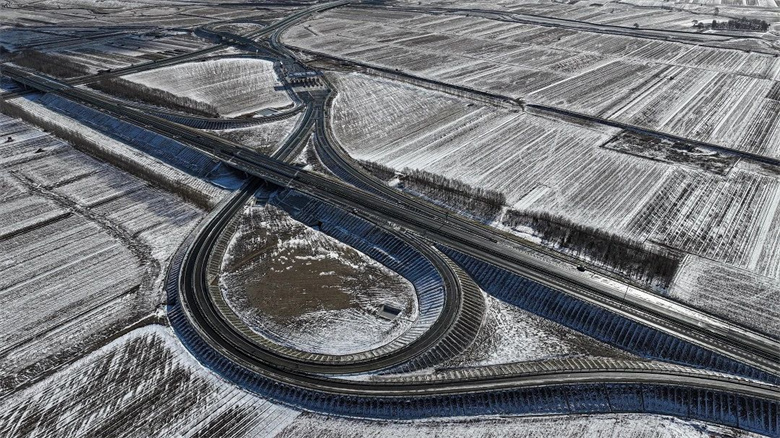 女人与公狍交酡女免费