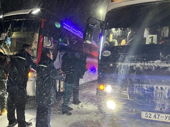 女人与公狍交酡女免费